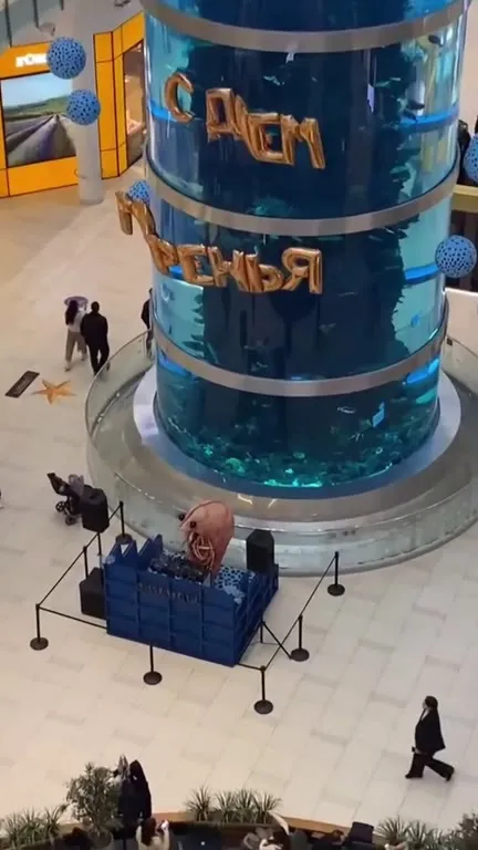 Осьминог-диджей в аквариуме