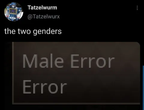 The Two Genders Male Error