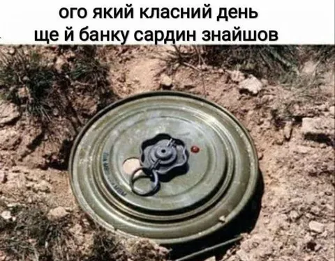 Банку сардин знайшов