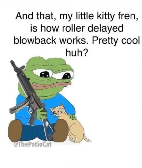 Little Kitty Roller Delayed Blowback