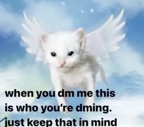 Angel Cat When You DM Me