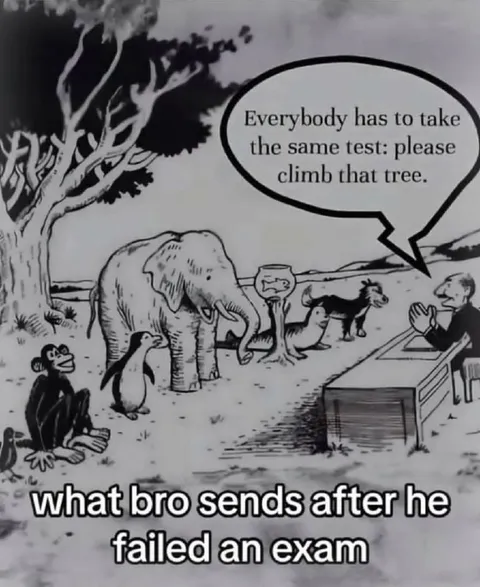 Failed Exam Excuse Meme