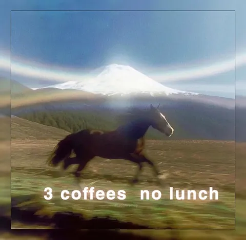 Three Coffees No Lunch