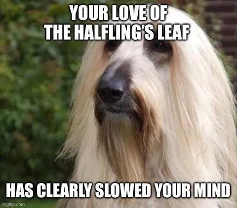 Your Love of the Halfling's Leaf