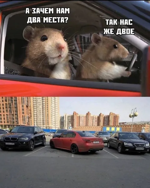 Две мыши на два места
