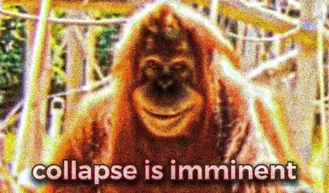 Collapse Is Imminent Orangutan
