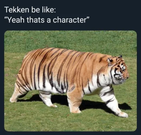 Tekken Be Like Character