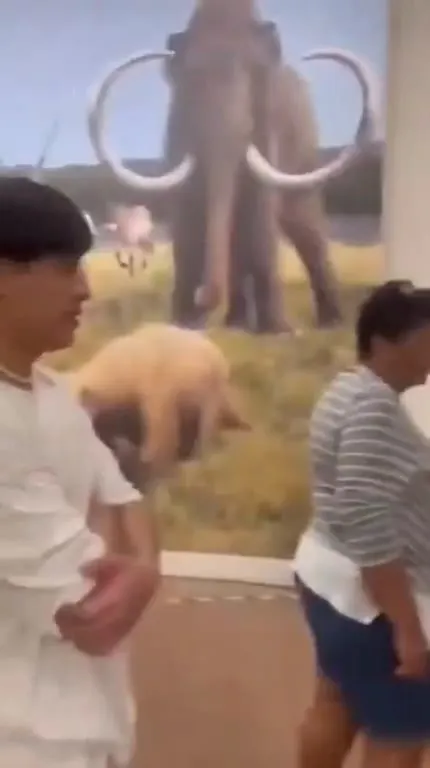 Странный музейный бюст