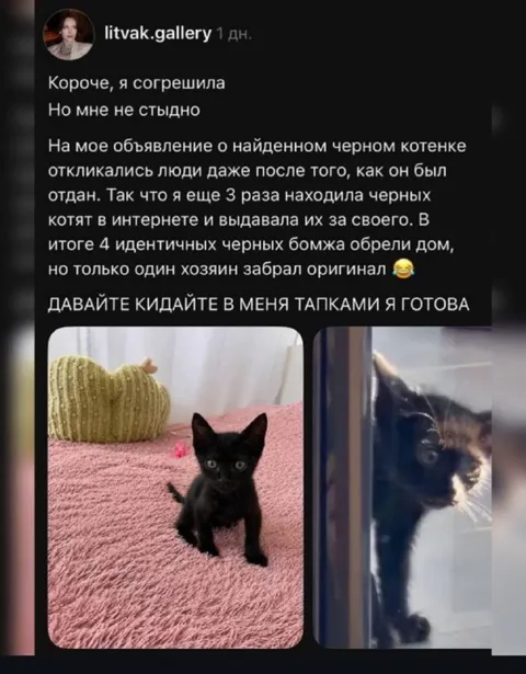 Четыре одинаковых чёрных котёнка