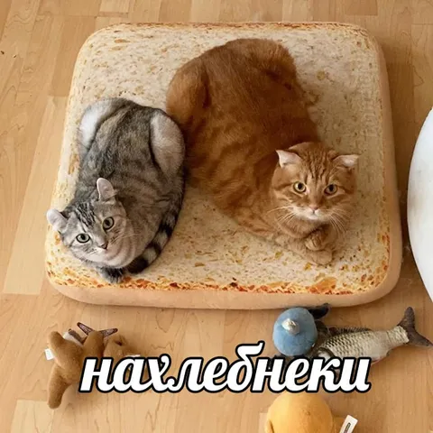 Коты-нахлебники на лежанке