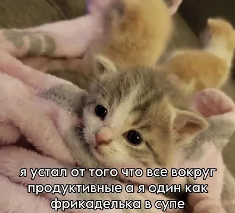 Устал быть единственным бездельником