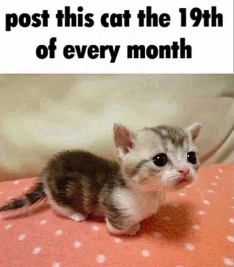 Post This Cat Every 19th