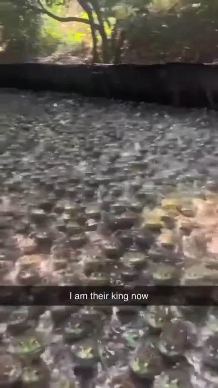 I Am Their King Now