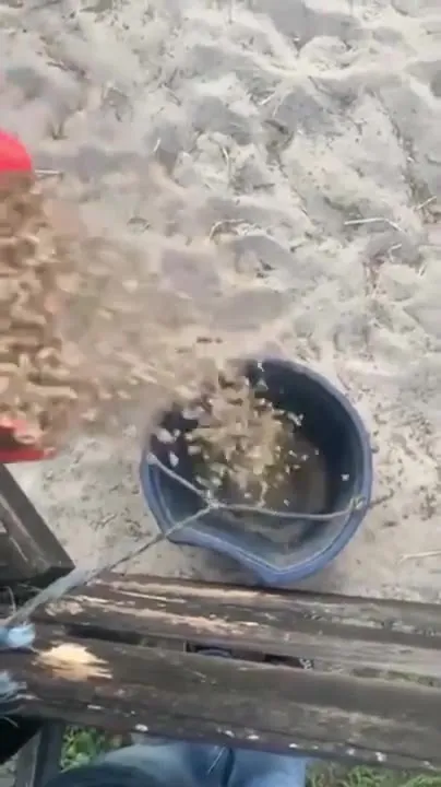 Девушка падает с пони в воду