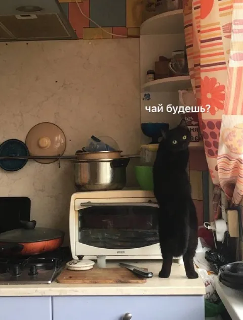 Чай будешь?