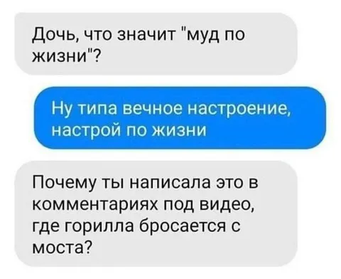Муд по жизни и горилла