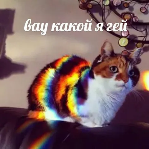 Вау, какой я гей