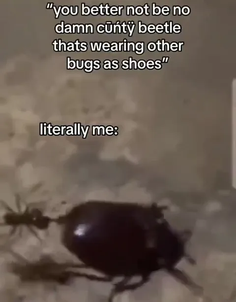 Beetle Wearing Bug Shoes