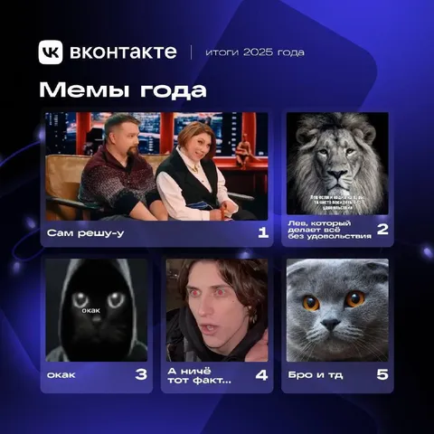 Мемы года во ВКонтакте