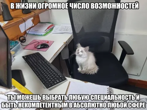 Кот выбрал быть некомпетентным