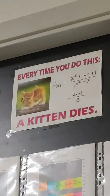 Every Time You Do This A Kitten Dies
