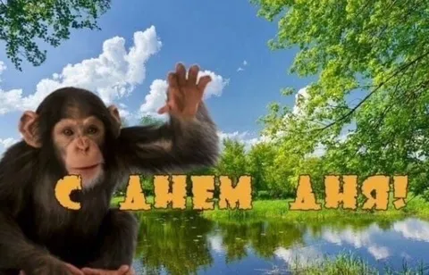 С днём дня, обезьянка