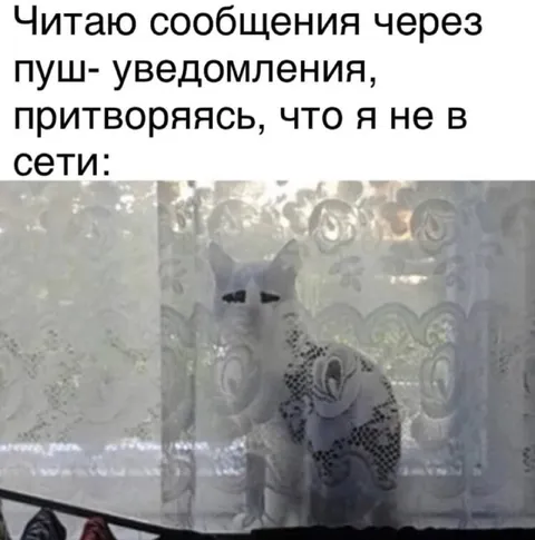 Читаю сообщения через пуш-уведомления