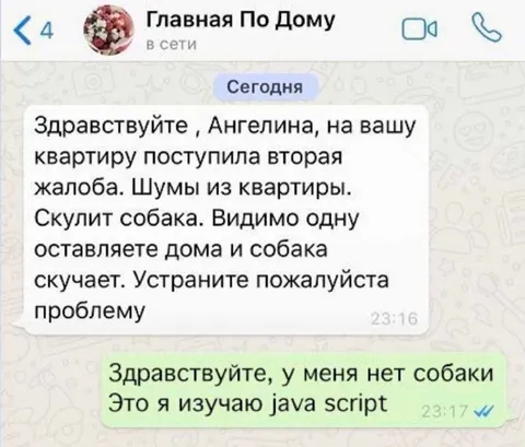 Собака изучает JavaScript
