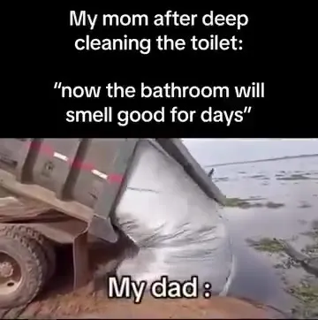Dad Flushes the Whole Bathroom