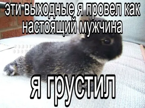 Кролик, который грустил