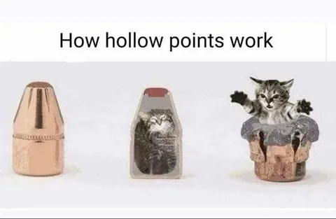 How Hollow Points Work