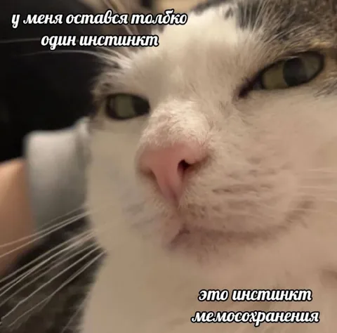 Инстинкт мемосохранения
