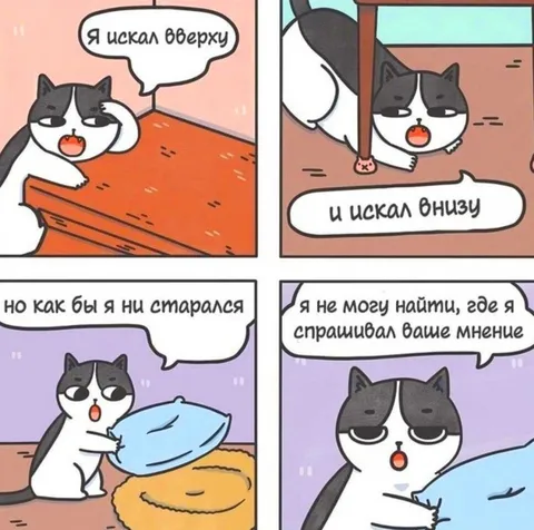 Я не спрашивал ваше мнение