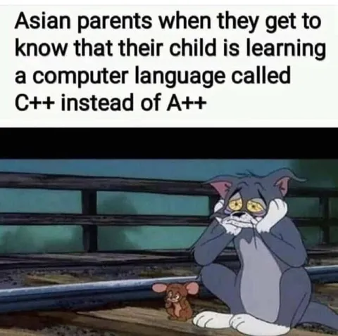 Asian Parents Hear C++ Instead of A++