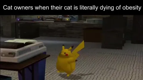 Cat Owners Inflate Obese Pikachu