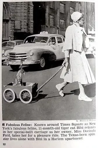 Cat Rides in a Baby Carriage