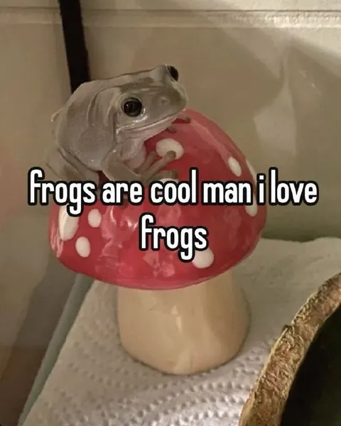 Frogs Are Cool Man