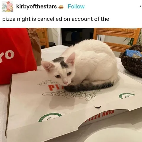 Pizza Night Is Cancelled
