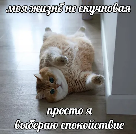 Я выбираю спокойствие