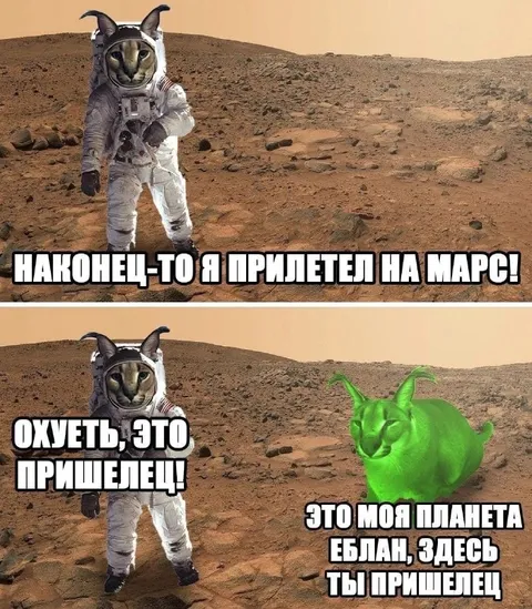 Кот прилетел на Марс