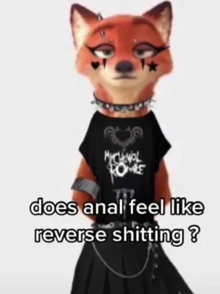 Does Anal Feel Like Reverse Shitting