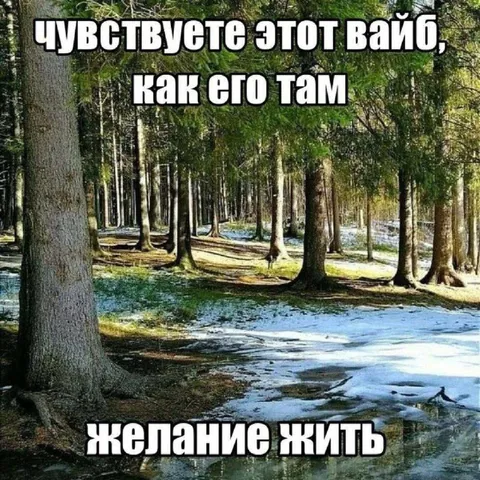Лесной вайб и желание жить