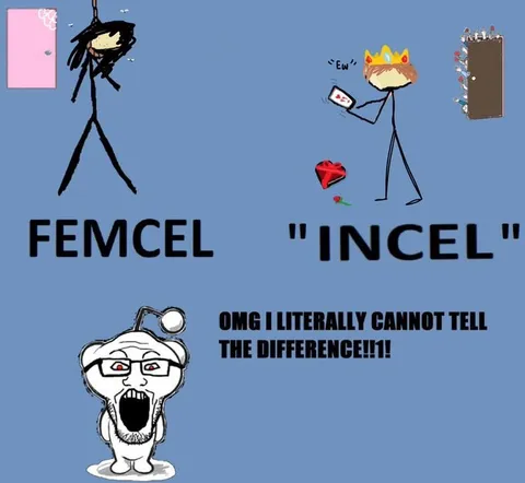 Femcel and Incel Look the Same