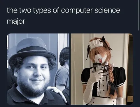 The Two Types of Computer Science Major