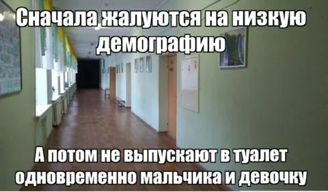 Школьный туалет и демография