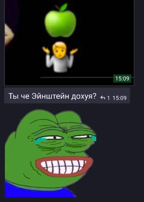 Ты че Эйнштейн дохуя?