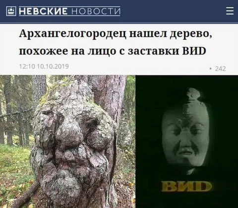 Дерево как заставка ВИЙ