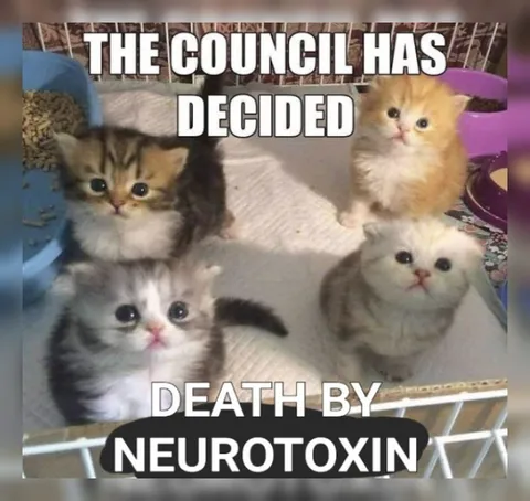 The Council Has Decided