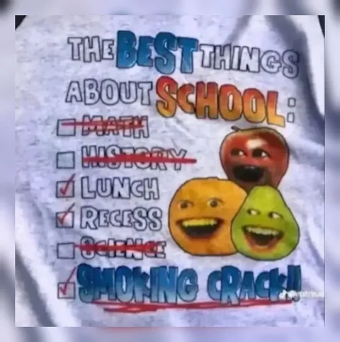 The Best Things About School