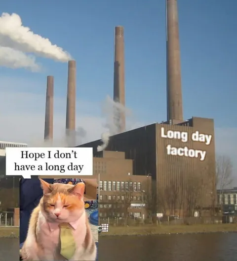 Long Day Factory Cat